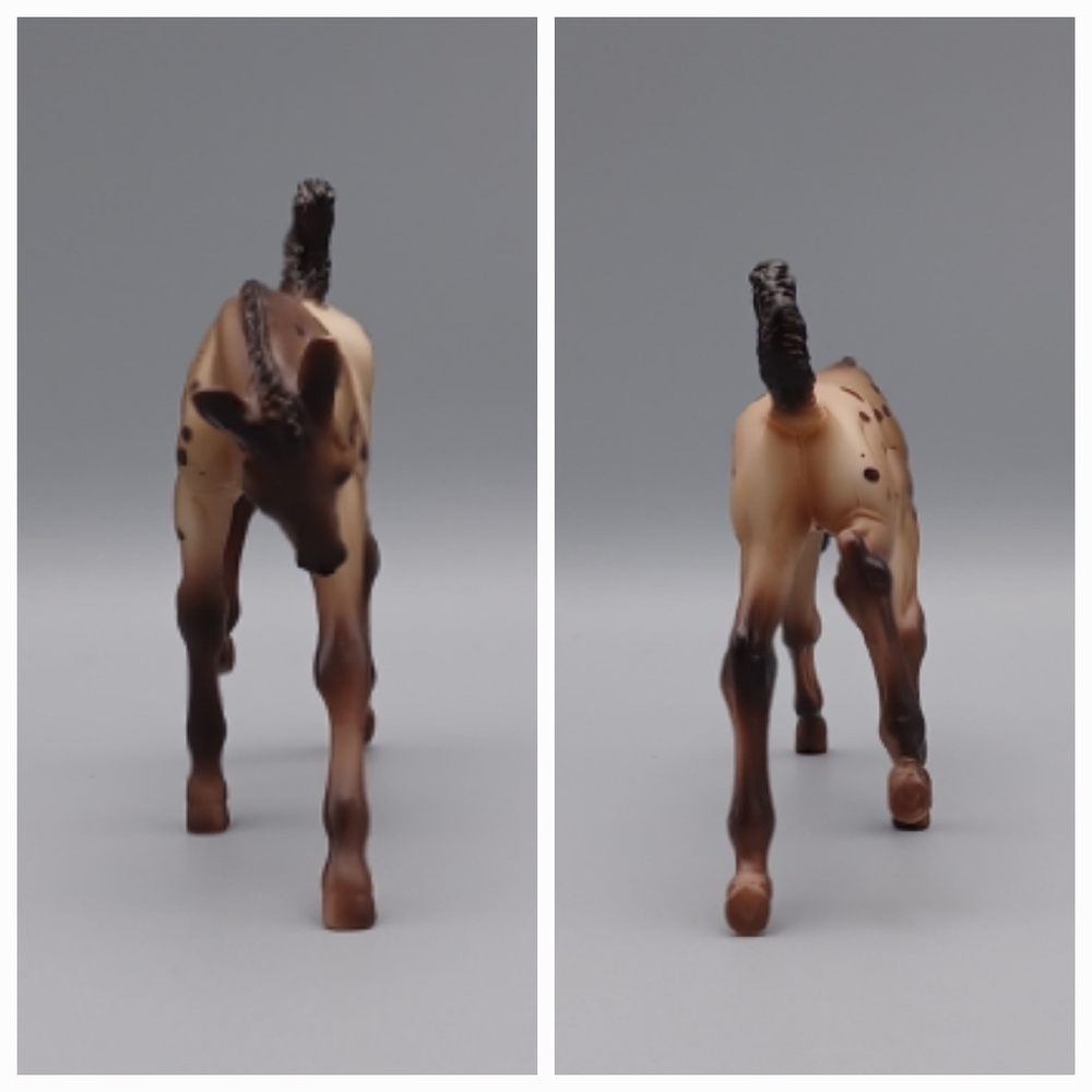 Breyer Dakotah - Picture 12 of 15